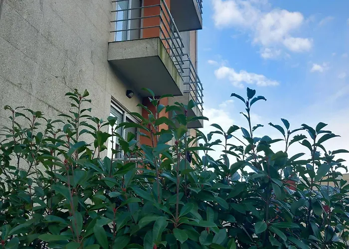 Apartamento Exclusive Flat With Pool Braga